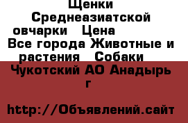 Щенки Среднеазиатской овчарки › Цена ­ 30 000 - Все города Животные и растения » Собаки   . Чукотский АО,Анадырь г.